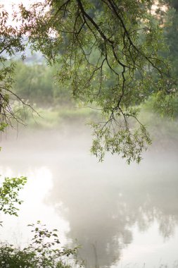 Harika, güzel bir yer dinlenmek için
