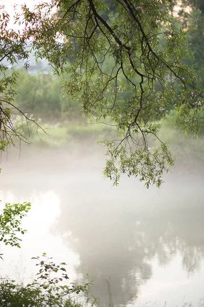 Harika, güzel bir yer dinlenmek için