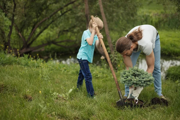 Sorrindo pai adulto e seu filho plantando uma árvore ao ar livre no parque. — Fotografia de Stock