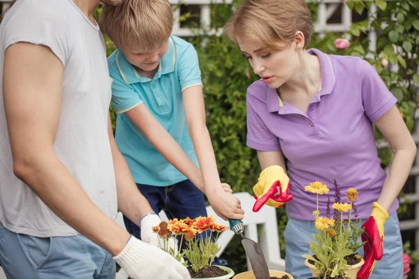 Niño ayuda a los padres a plantar flores en maceta. Jardinería, concepto de plantación. — Foto de Stock