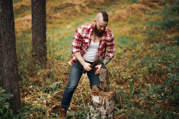 Woodcutter in shirt chopping firewoods, chips fly apart — Stock Photo, Image