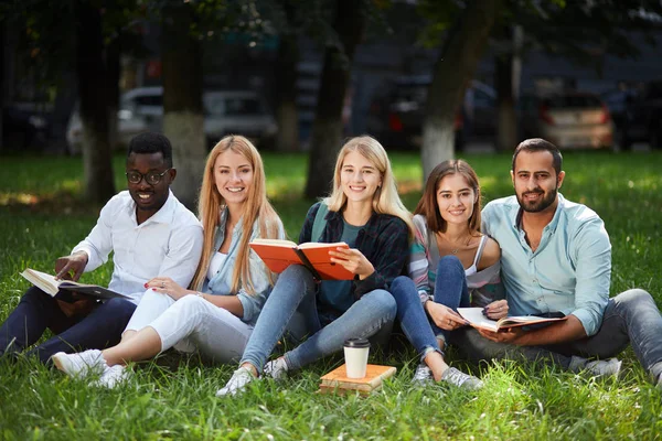 大学キャンパスの緑の芝生で一緒に座っている学生の混血グループ — ストック写真