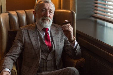 Serene konsantre yetişkin erkek mimar gri saçlı sakallı puro içiyor.