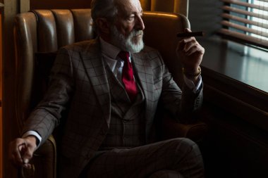 Serene konsantre yetişkin erkek mimar gri saçlı sakallı puro içiyor.