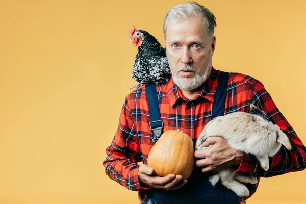 Viejo asustado con una gallina en el hombro sostiene un conejo y una calabaza — Foto de Stock