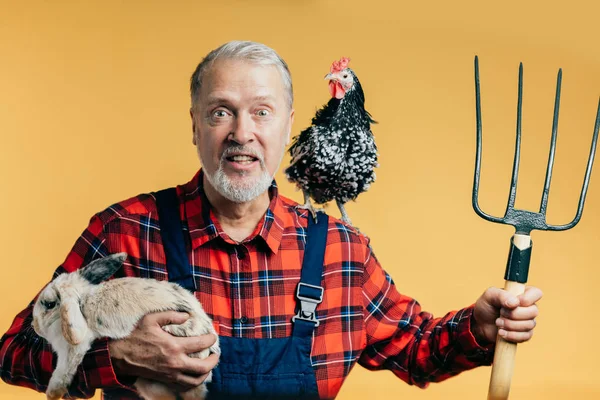 Cheerfil senior man with a hen on his shoulder is standing with pitch fork — Stock Photo, Image