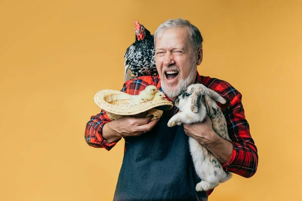 Viejo hombre emocional abrazando a un conejo, pollos, una gallina — Foto de Stock