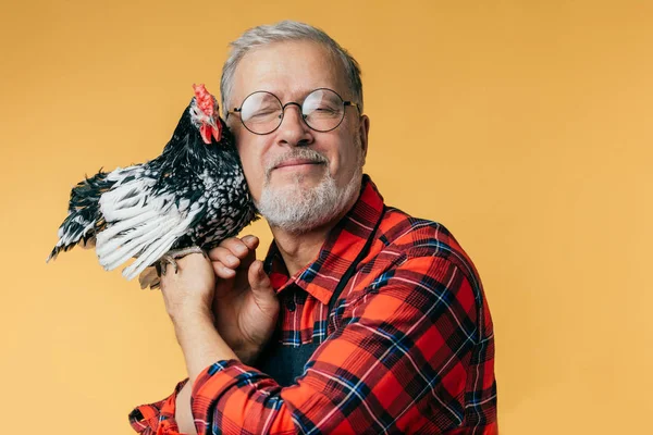 Emocional amable viejo hombre le gusta un gallo — Foto de Stock