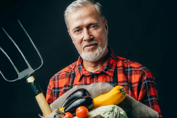Viejo jardinero está sosteniendo verduras y horquilla — Foto de Stock