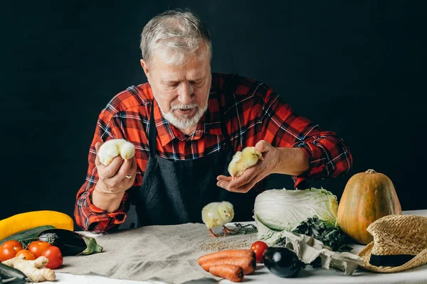 El hombre mayor está pasando tiempo con el pajarito — Foto de Stock