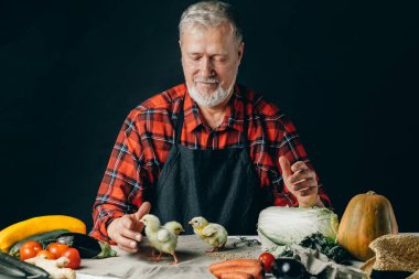 Bebek tavuk gitmek öğrenme vardır. ilk adımlar. yaşlı adam kız evcilleştirme