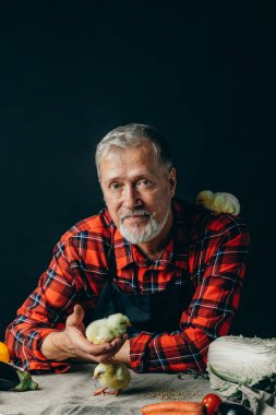 kümes hayvanları farmimg geliştirilmesi. portre vurdu