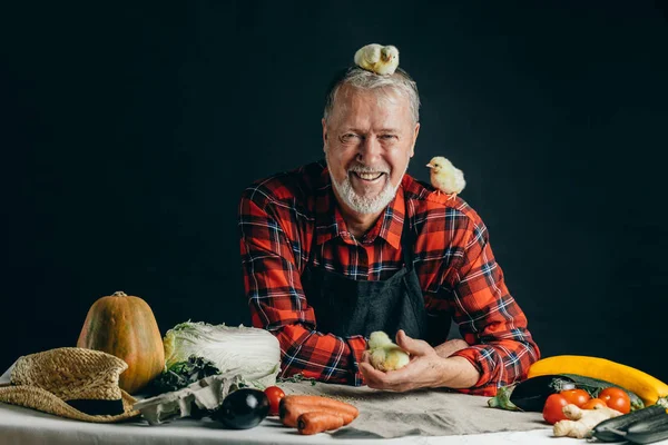 Pequeño pollo es reating en feliz abuelo cabeza — Foto de Stock