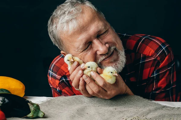 Homem velho emocional está abraçando pequenas galinhas amarelas — Fotografia de Stock