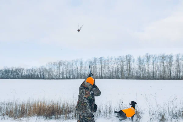 Joven cazador experimentado matando un pájaro durante la caza —  Fotos de Stock