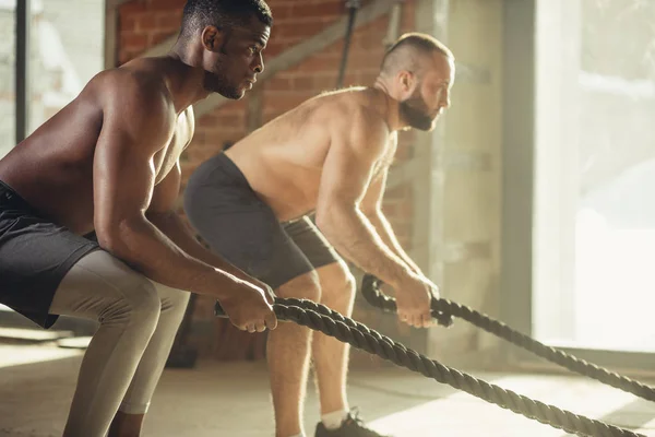 Dos deportistas de pecho desnudos multiétnicos haciendo ejercicio con cuerdas de batalla en el gimnasio . —  Fotos de Stock