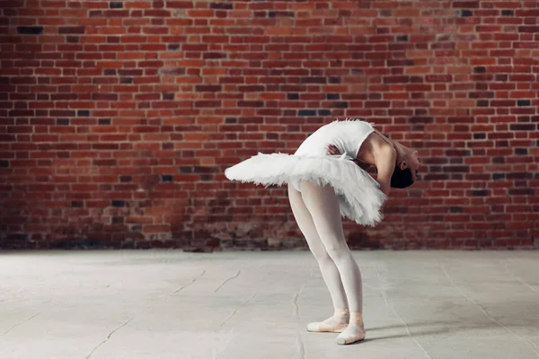 Витончена балерина вигинає спину. в танцювальній студії знімок . — стокове фото