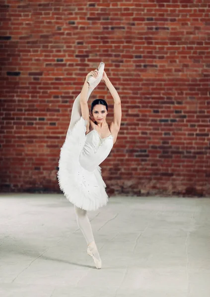 Danseur de ballet avec jambe pointue posant à la caméra — Photo