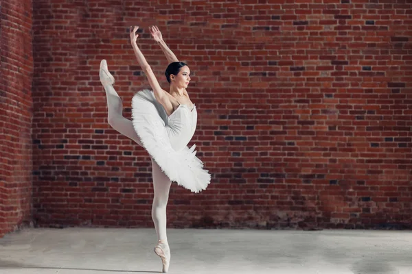 Menina talentosa reflete a beleza da dança — Fotografia de Stock