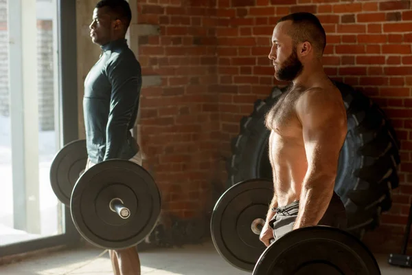 Dos fuertes campeones masculinos musculosos de diversa etnia, cuerpo de entrenamiento en el gimnasio . —  Fotos de Stock