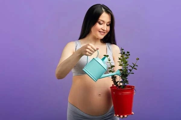Mujer embarazada feliz en ropa interior riego planta en maceta sobre fondo púrpura —  Fotos de Stock