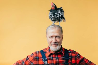 nice chicken standing on the head of old man clipart