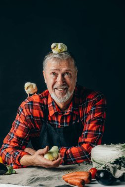 yaşlı adam küçük tavuklar ile eğleniyor