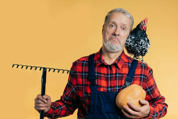 A surprised farmer holding a rake — Stock Photo, Image