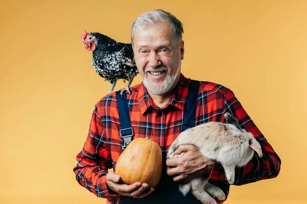 Alegre seniour agricultor posee un mercado agrícola, ingresos. negocios — Foto de Stock