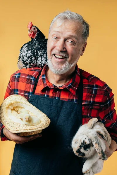 Anciano con camisa a cuadros y delantal negro con una gallina, un conejo y pollos — Foto de Stock