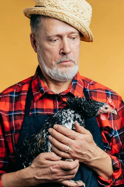 Abuelo reflexivo con una gallina — Foto de Stock