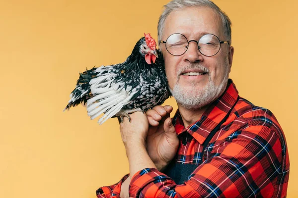 Viejo granjero abrazando la polla y posando a la cámara — Foto de Stock