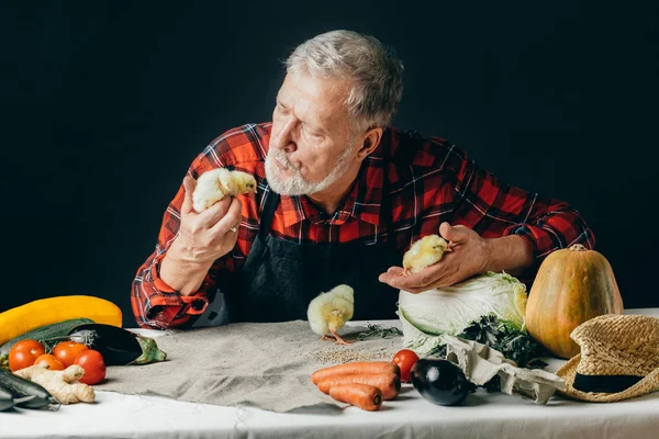 Viejo divertido hombre está hablando con bebé polluelos — Foto de Stock