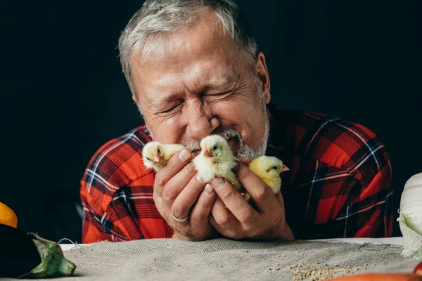 Gammal man i snygg Uniform kysser hans kycklingar — Stockfoto
