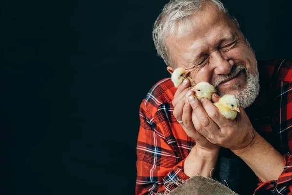 Viejo hombre amable está abrazando a un pollo — Foto de Stock