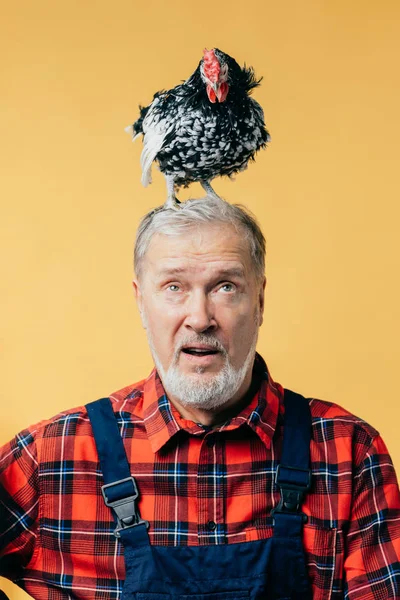 Scared man looking at the hen on his head — Stock Photo, Image