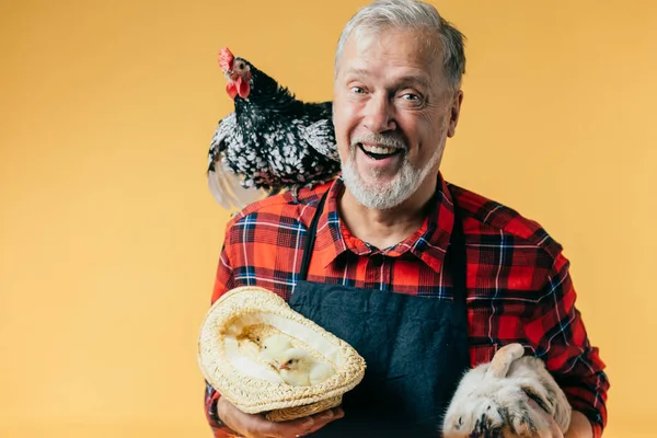 Velho alegre criando animais na fazenda — Fotografia de Stock