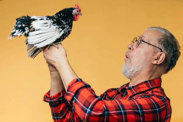 Surprised funny man is talking with a cock — Stock Photo, Image