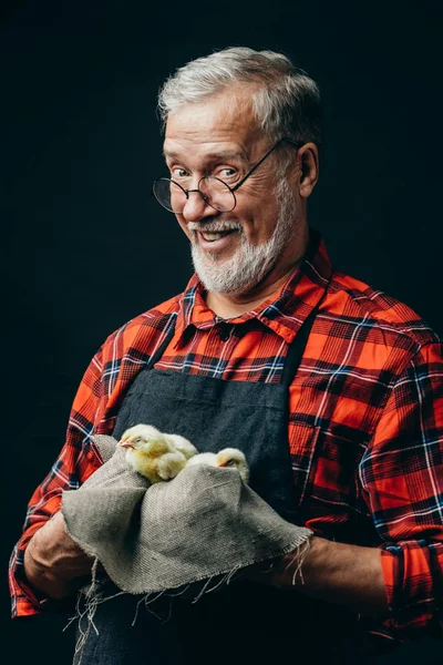 happy old farmer holding a cloth with chickens