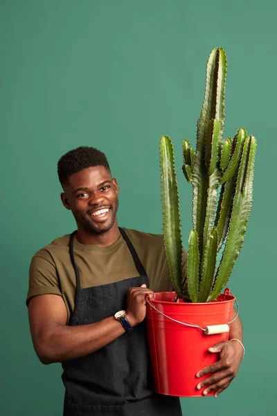 African male farmer in apron standing with a big cactus planted in red bucket