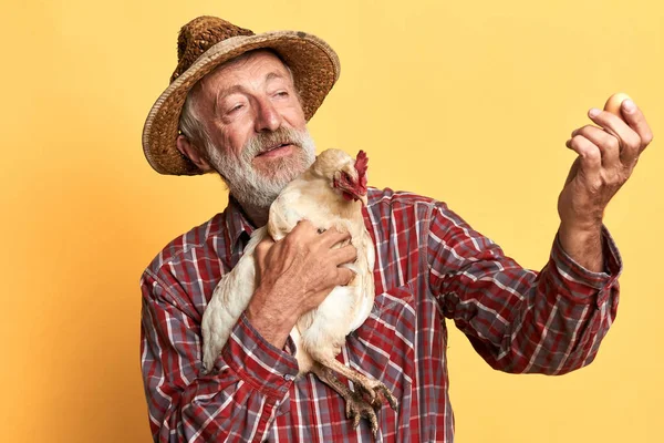 Agricultor sênior amigável olhando orgulhosamente para ovo fresco, segurando na mão galinha — Fotografia de Stock