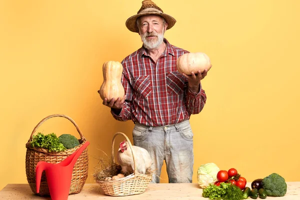 Agricultor mostra resultados de trabalho duro no campo orgânico, orgulhosos de seu rico havest — Fotografia de Stock