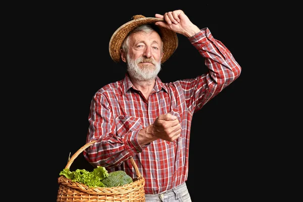 Estúdio retrato de greengrocer maduro com barba cinza, segurando cesta de vime — Fotografia de Stock