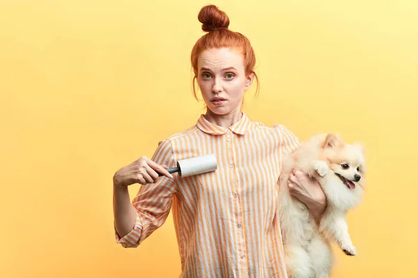 Ginger dziewczyna trzyma jej zwierzę i lint rollerand patrząc w The kamera — Zdjęcie stockowe
