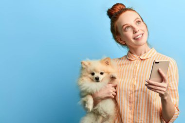 sokak hayvanları için sahiplerini bulmaya yardımcı olan organizasyon