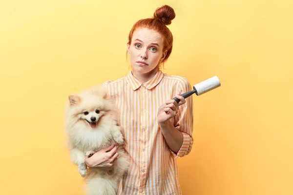 Indignante propietario de mascotas jengibre no sabe cómo quitar el pelo mascotas — Foto de Stock