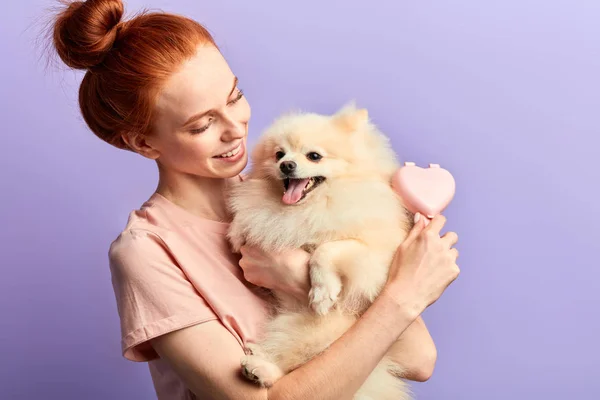 Счастливая рыжая добрая милая женщина причесывает свою собаку — стоковое фото
