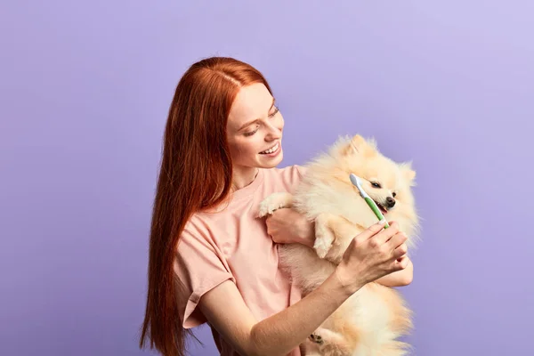 Divertente attraente ragazza lavarsi i denti animali domestici — Foto Stock