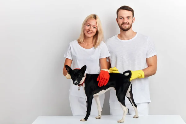 Veterinários tem feito cirurgião bem sucedido de cão — Fotografia de Stock