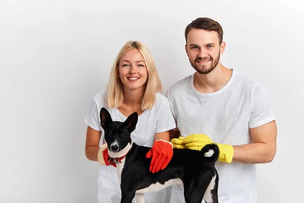 Ταλαντούχοι κτηνίατροι βοηθούν τα κατοικίδιά σας να αισθάνονται καλά — Φωτογραφία Αρχείου